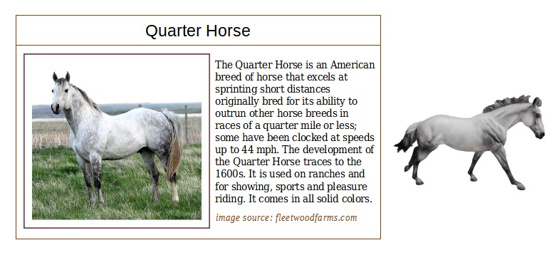 remington grey QH